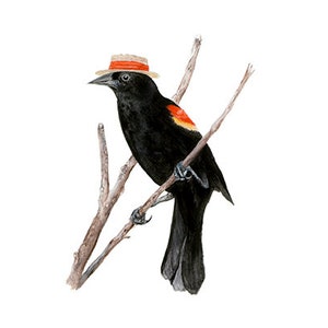 No.11 - "Red-winged Blackbird with Boater" - high-quality 8x10" giclée fine art print, signed by artist