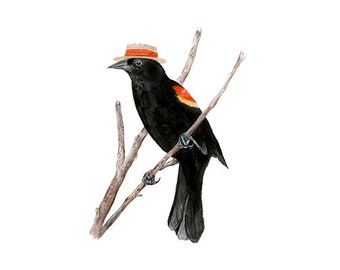 No.11 - "Red-winged Blackbird with Boater" - high-quality 8x10" giclée fine art print, signed by artist