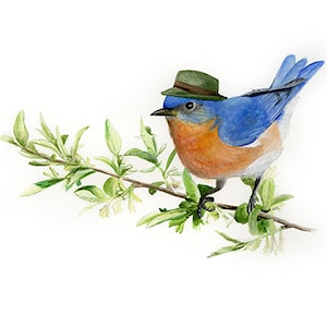 No.8 - "Eastern Bluebird with Fedora" - high-quality 8x10" giclée fine art print, signed by artist