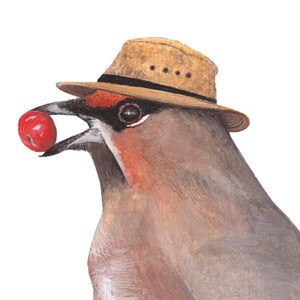 May include: A watercolor painting of a bird wearing a straw hat and holding a red berry in its beak.
