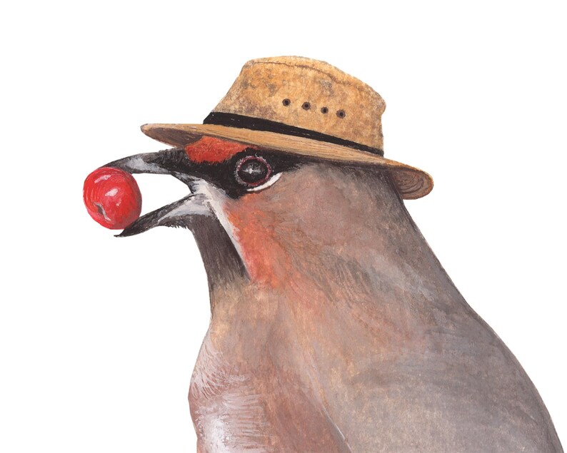 May include: A watercolor painting of a bird wearing a straw hat and holding a red berry in its beak.