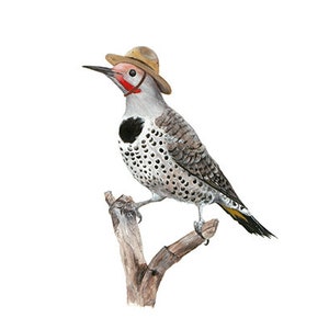 No.13 - "Northern Flicker with Ranger" - high-quality 8x10" giclée fine art print, signed by artist