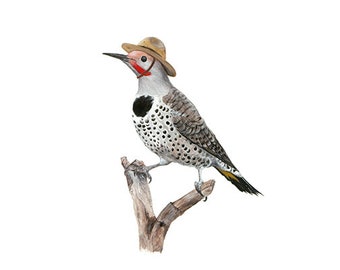 Nr. 13 – „Northern Flicker with Ranger“ – hochwertiger 8x10“ Giclée-Fine-Art-Druck, vom Künstler signiert