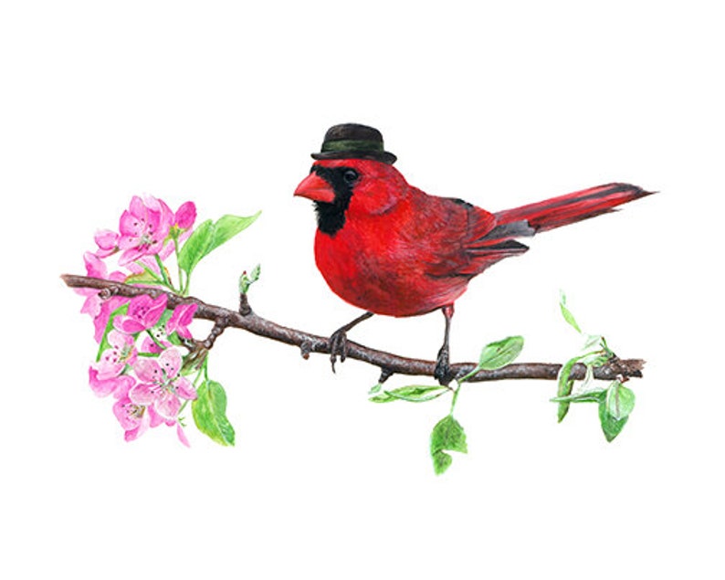 signed by artist Northern Cardinal with Bowler high-quality 8x10 gicl\u00e9e fine art print No.15