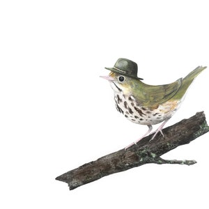 No.22 - &quot;Ovenbird with Stetson Explorer&quot; - high-quality 8x10&quot; giclée fine art print, signed by artist