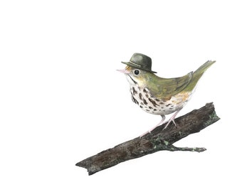 No.22 - « Ovenbird with Stetson Explorer » - tirage d’art giclée 8x10 » de haute qualité, signé par l’artiste