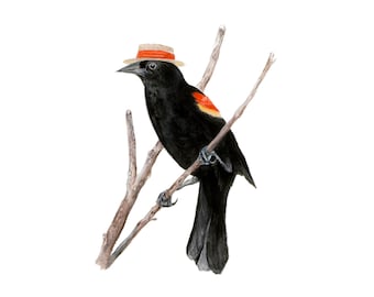 Art Print No.11 - "Red-winged Blackbird with Boater"