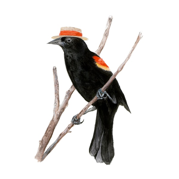 Art Print No.11 - "Red-winged Blackbird with Boater"