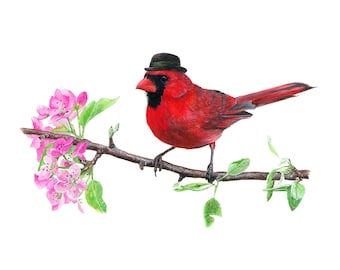 Art Print No.15 - "Northern Cardinal with Bowler"