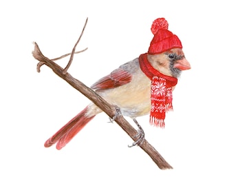 Art Print No.16 - "Northern Cardinal with Stocking Cap"
