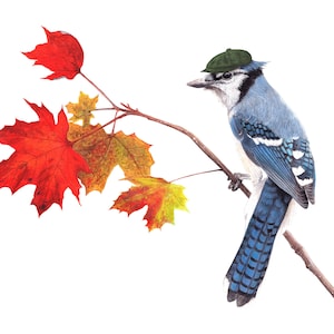 No.31 - &quot;Blue Jay with Newsboy&quot; - high-quality 8x10&quot; giclée fine art print, signed by artist