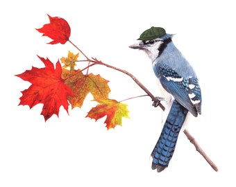 NEW No.31 - "Blue Jay with Newsboy" - high-quality 8x10" giclée fine art print, signed by artist