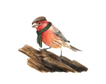 No.19 - "House Finch with Flat Cap" - high-quality 8x10" giclée fine art print, signed by artist