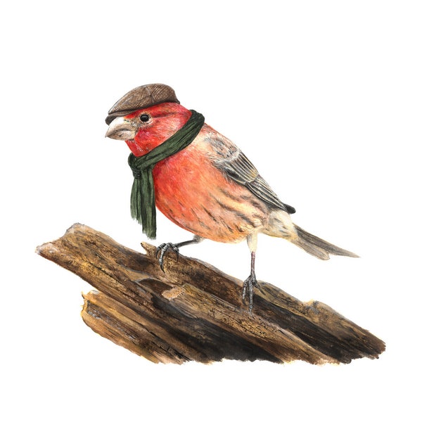 No.19 - "House Finch with Flat Cap" - high-quality 8x10" giclée fine art print, signed by artist