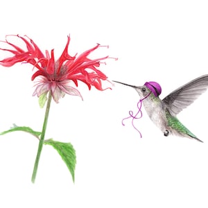 No.23 - &quot;Ruby-throated Hummingbird with Cloche&quot; - high-quality 8x10&quot; giclée fine art print, signed by artist