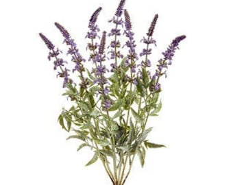 Artificial Lavender Bush, Purple Faux Lavender Stems (18"H)