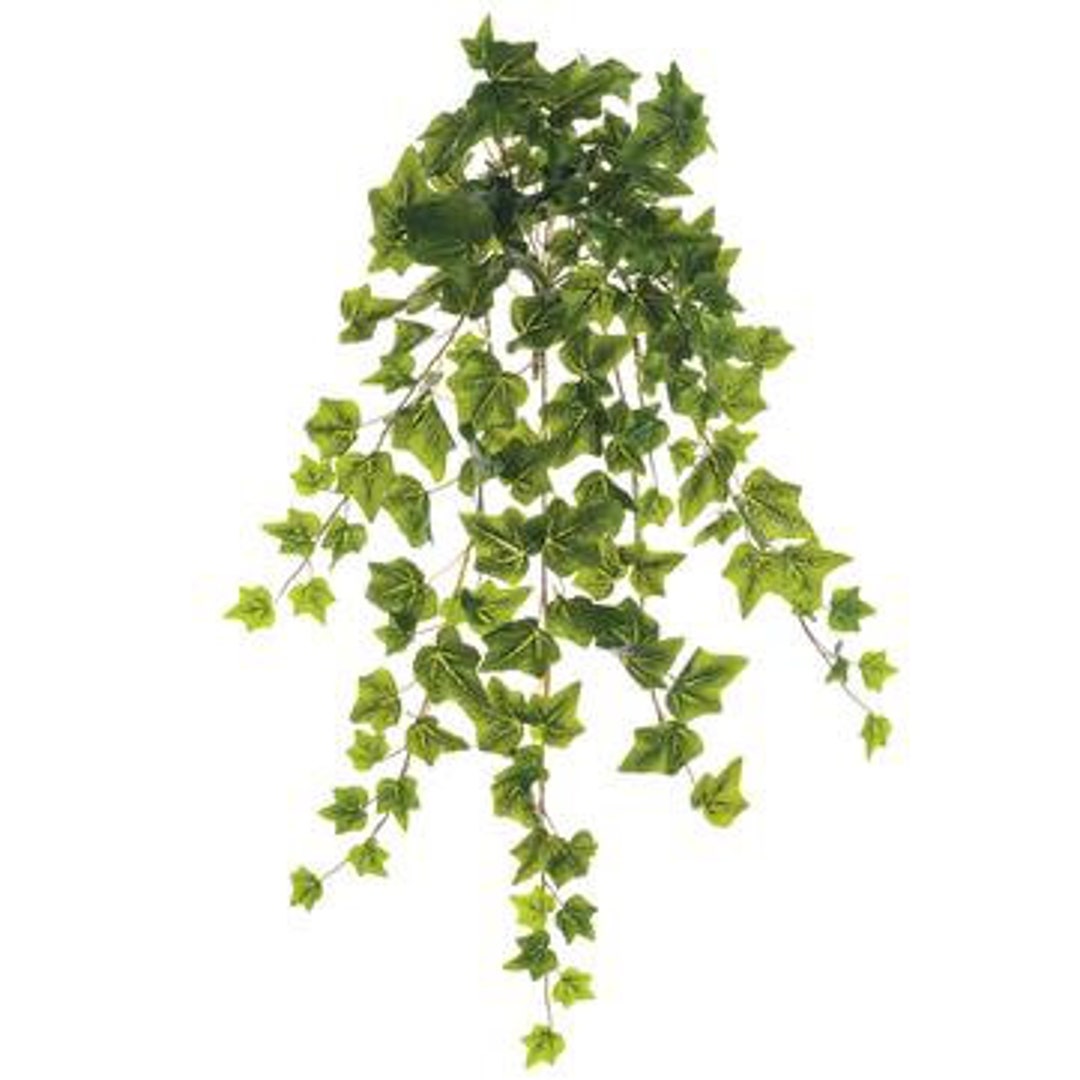 Artificial Ivy Bush, Faux Ivy, Hanging Ivy, Silk Ivy, Ivy Bush, Feeler