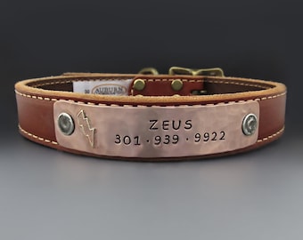 zeus dog tag