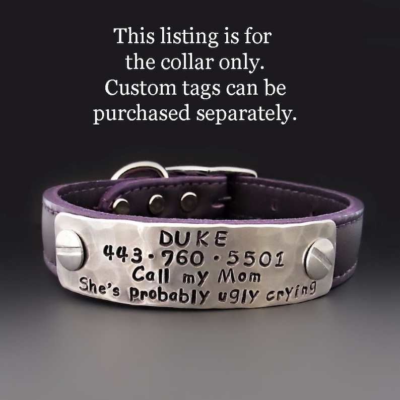 May include: Purple leather dog collar with a silver metal tag that reads "DUKE 443-760-5501 Call my Mom She's probably ugly crying".