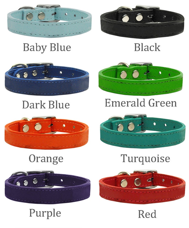 Personalized Leather Dog Collar Oh Snap I'm Lost Medium Etsy