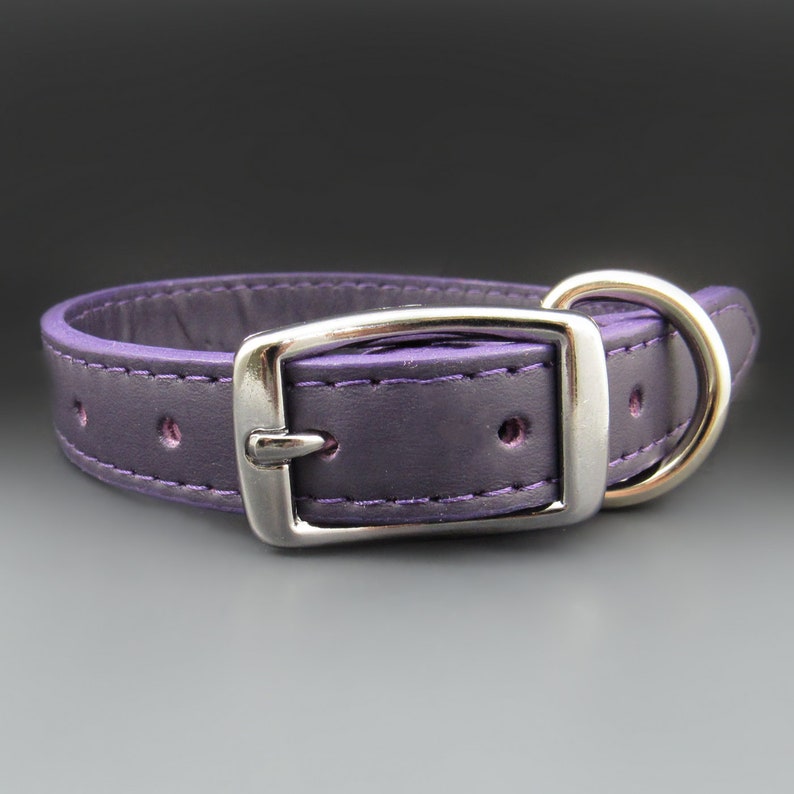 May include: A purple leather dog collar with a silver buckle and D-ring.