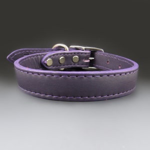 May include: A purple leather dog collar with silver hardware and stitching.