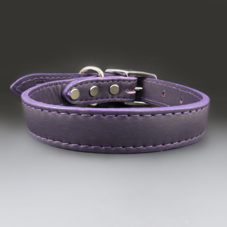 May include: A purple leather dog collar with silver hardware and stitching.