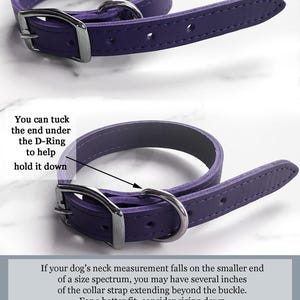 May include: A purple leather dog collar with a silver D-ring and buckle. The collar is shown with the end tucked under the D-ring to help hold it down.  "You can tuck the end under the D-Ring to help hold it down."  "If your dog's neck measurement falls on the smaller end of a size spectrum, you may have several inches of the collar strap extending beyond the buckle. For a better fit, consider sizing down. These are special edition collars, and not all sizes are available. We do NOT recommend ordering a small or larger size if your dog's correct size is not listed."