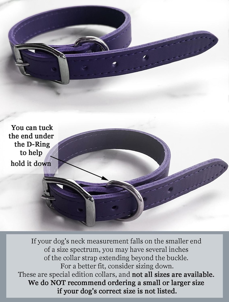 May include: A purple leather dog collar with a silver D-ring and buckle. The collar is shown with the end tucked under the D-ring to help hold it down.  "You can tuck the end under the D-Ring to help hold it down."  "If your dog's neck measurement falls on the smaller end of a size spectrum, you may have several inches of the collar strap extending beyond the buckle. For a better fit, consider sizing down. These are special edition collars, and not all sizes are available. We do NOT recommend ordering a small or larger size if your dog's correct size is not listed."