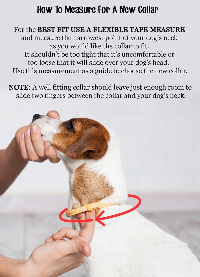May include: A person is measuring a dog's neck with a tape measure. The text on the image reads "How To Measure For A New Collar" and "For the BEST FIT USE A FLEXIBLE TAPE MEASURE and measure the narrowest point of your dog's neck as you would like the collar to fit. It shouldn't be too tight that it's uncomfortable or too loose that it will slide over your dog's head. Use this measurement as a guide to choose the new collar. NOTE: A well fitting collar should leave just enough room to slide two fingers between the collar and your dog's neck."