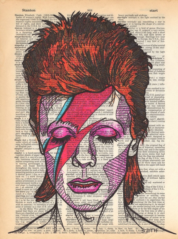 [洋書] David Bowie: A Portrait David Bowie : A Portrait 1973 song book + photos : Pleasures