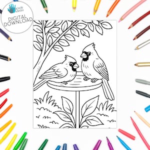 May include: Black and white digital download coloring page featuring two cardinals perched on a bird bath. The image includes leaves, grass, and the text "DIGITAL DOWNLOAD". Surrounding the image are various colored pencils and markers.