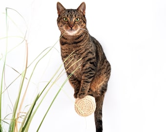 Marches murales en sisal pour chats, Monte d'escaliers pour chats, Griffoir pour chats, Meubles muraux pour chats, Aire de jeux pour chats, Marches murales pour chaton, Flottant