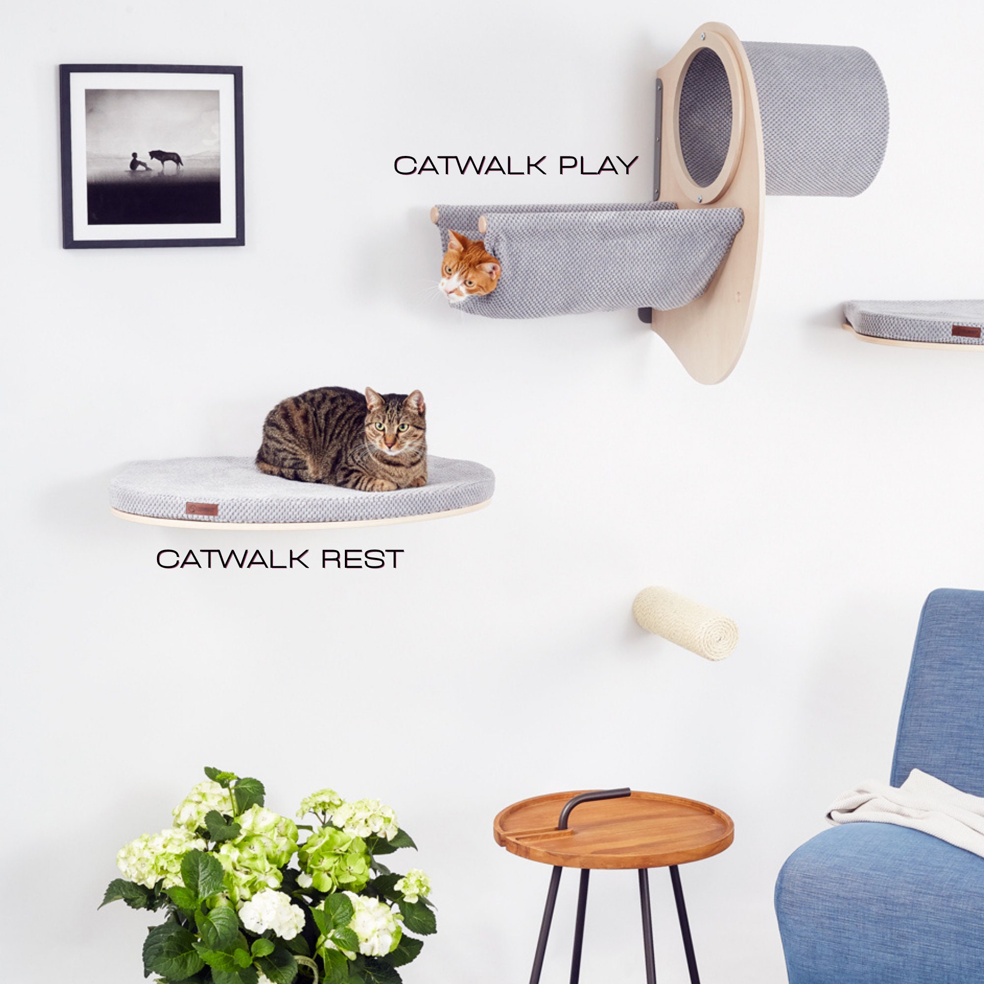 Chill Cat Shelf | COSY AND DOZY