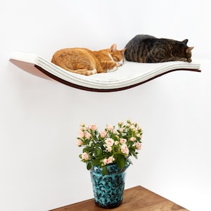 Può includere: Due gatti dormono su uno scaffale curvo bianco per gatti, fissato a un muro bianco. Una pianta in vaso con fiori rosa si trova su una superficie di legno sotto lo scaffale.