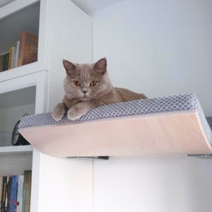 Cama para gatos de pared: estante de madera contrachapada de haya con cojín lavable