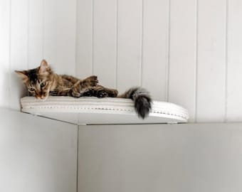 Corner Cat Shelf: Beech Wood Wall Perch with Cushion