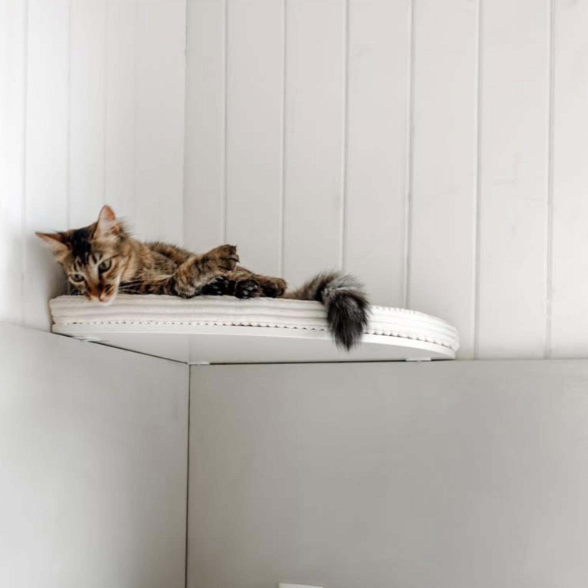 CosyAndDozy - Etsy