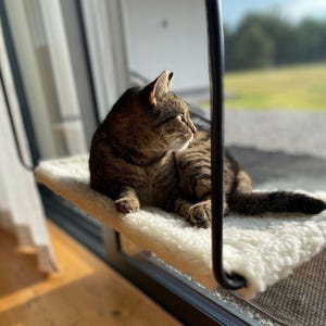 猫用窓用パーチ、猫用ベッド、猫用窓用ハンモック、猫用窓用シート、ペット用家具、家庭用ギフト、猫用壁掛け家具、窓用猫用棚
