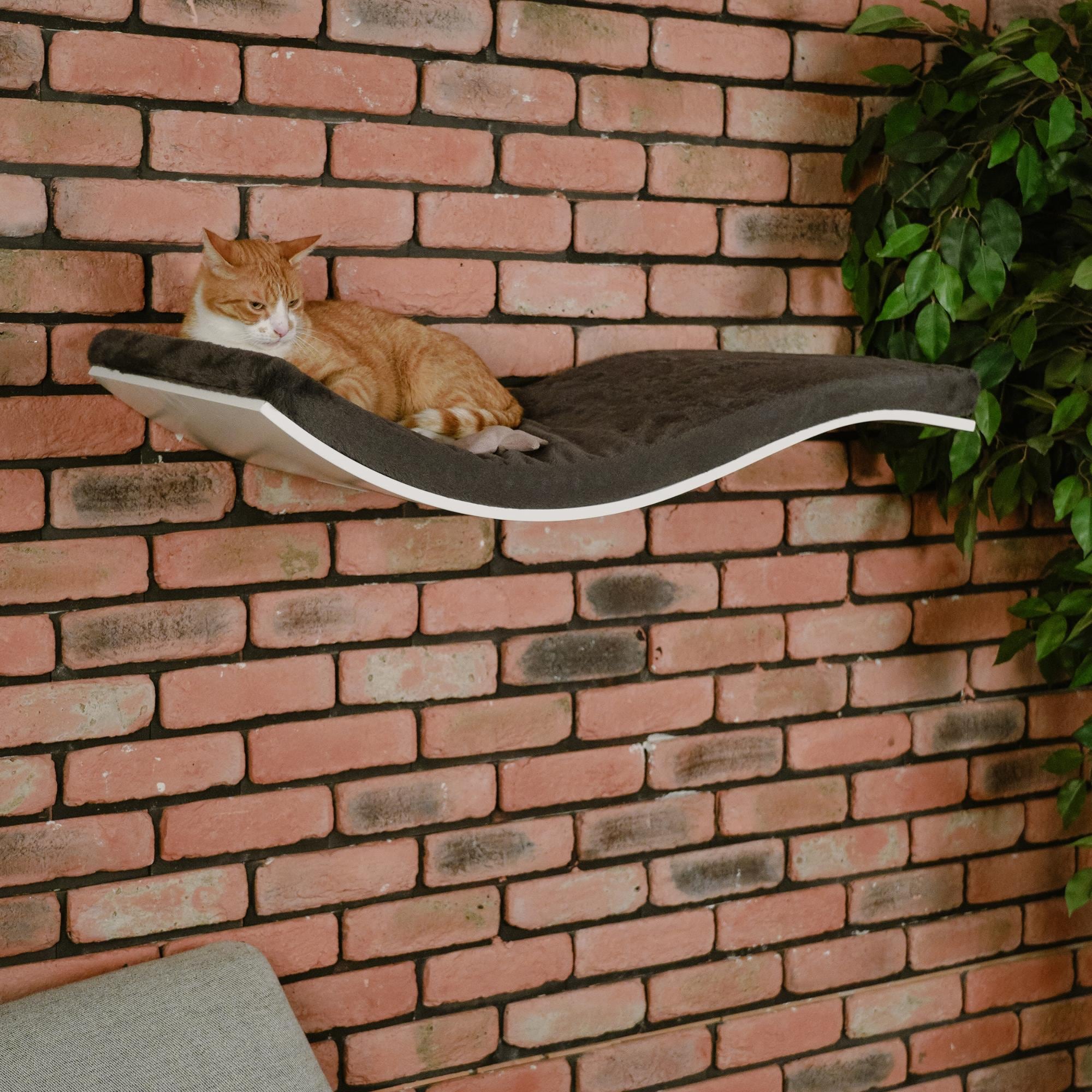 キャットシェルフ 【COSY AND DOZY】 キャットシェルフ 【COSY AND DOZY】