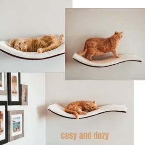 Puede incluir: Una estantería de cama para gatos blanca con un diseño curvo. La estantería está montada en una pared blanca. Un gato jengibre está tumbado en la estantería. El texto "cosy and dozy" está impreso debajo de la estantería.
