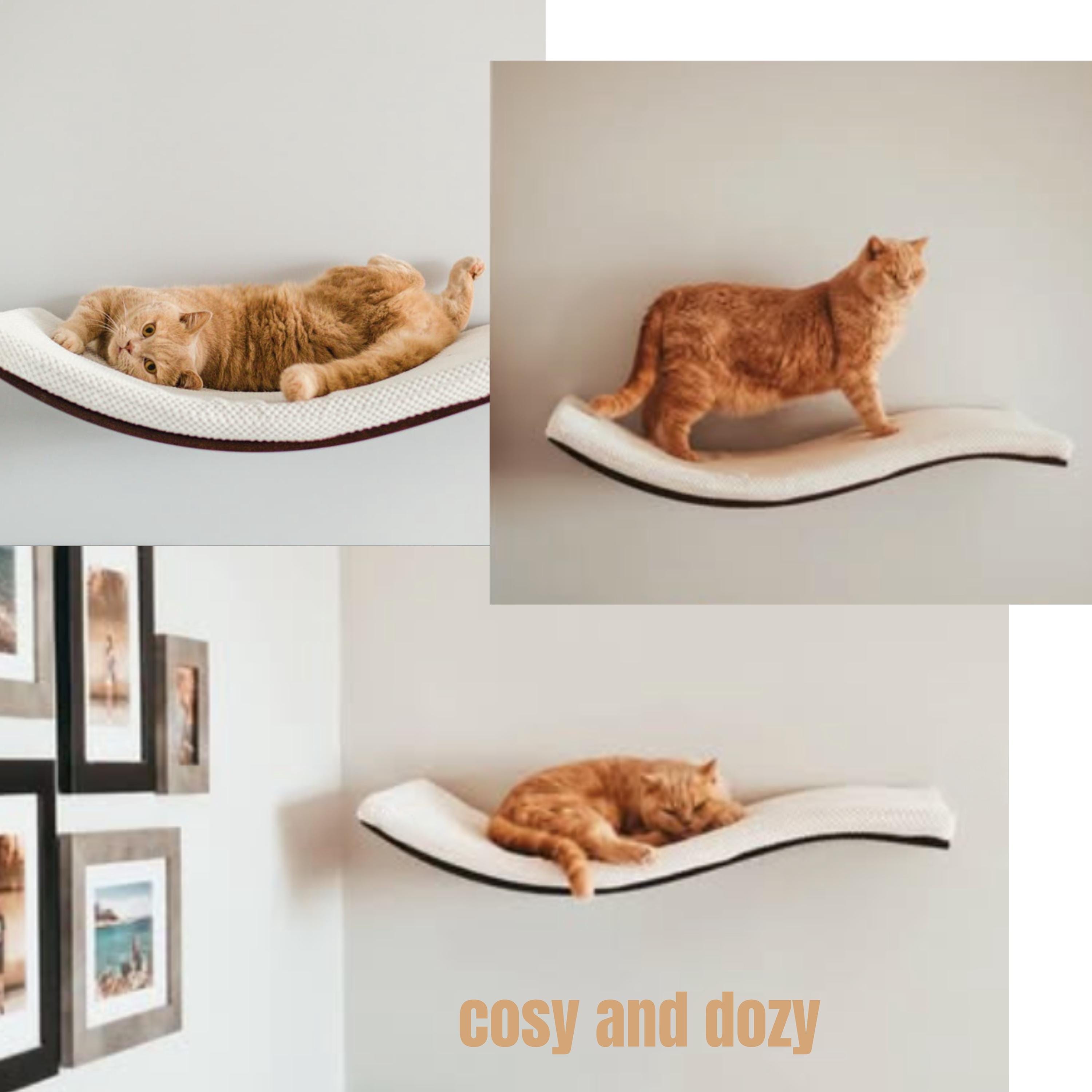キャットシェルフ 【COSY AND DOZY】