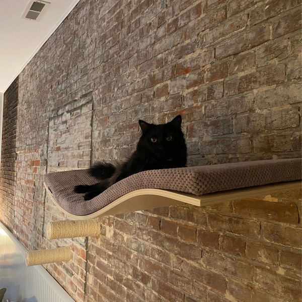 Estante de pared para gatos de madera contrachapada de haya con escalones de sisal para trepar - Percha moderna para gatos