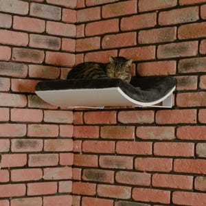 Puede incluir: Un gato atigrado marrón durmiendo en una cama de gato curva blanca y negra montada en una pared de ladrillo.