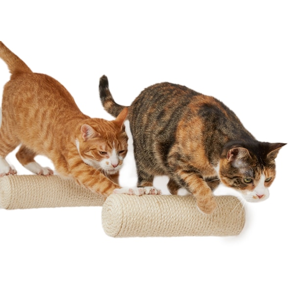 Sizalowe schody dla kota, słupek ścienny dla kota, schody dla kota, ścianka wspinaczkowa dla kota, drapak dla kota, schody dla kota montowane na ścianie, meble ścienne dla kota