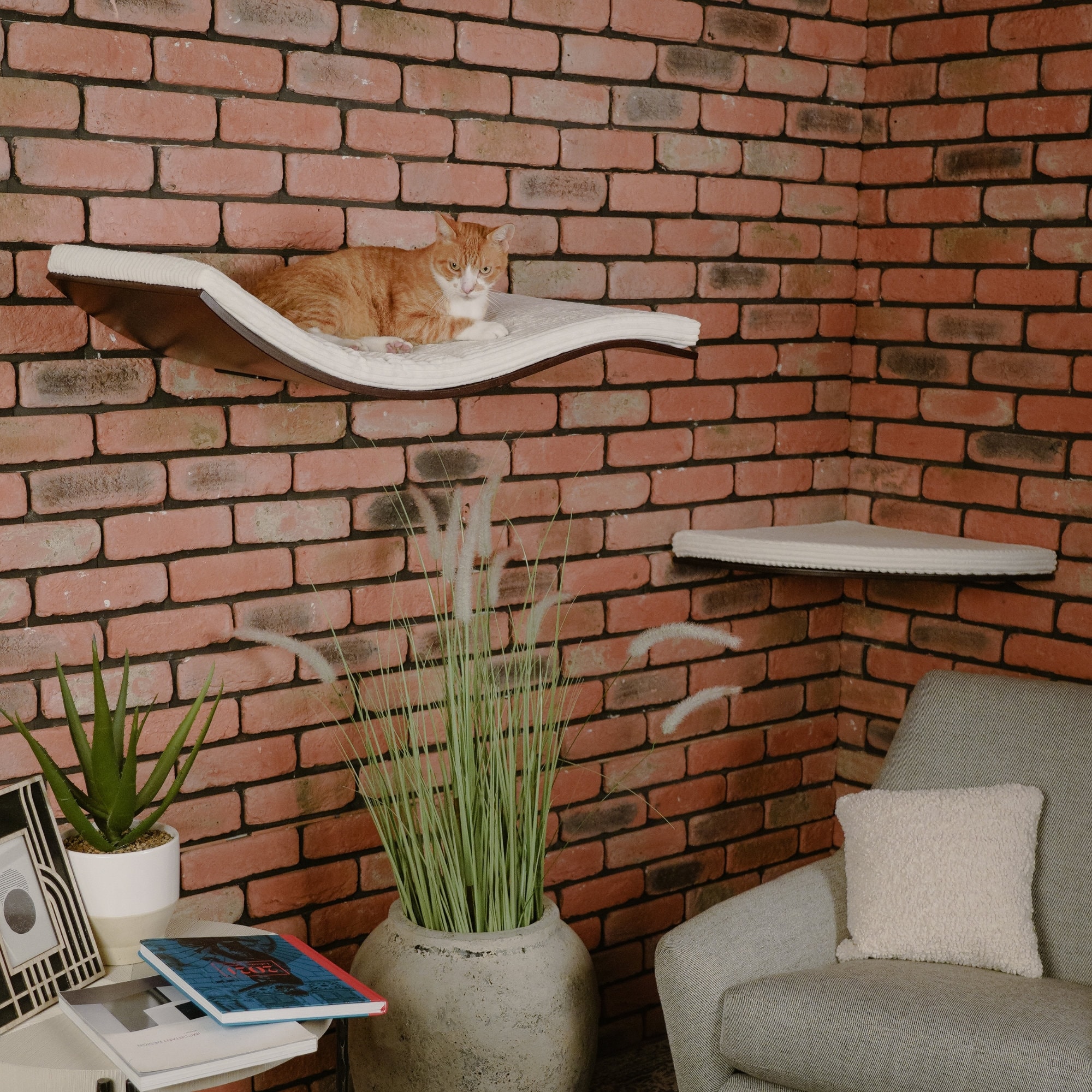 キャットシェルフ 【COSY AND DOZY】 CHILL DELUXE Cat Shelf - COSYANDDOZY POLAND | SELECT