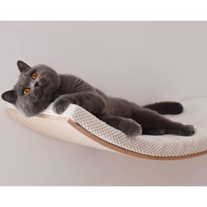 Può includere: Un gatto grigio con occhi ambrati si riposa su una mensola in legno per gatti con un cuscino bianco a fantasia. La mensola è fissata a una parete bianca, offrendo un posto comodo per il gatto.