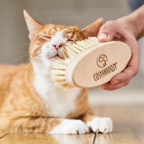 Cat Brush, Pet Brush, Cat Comb, Wooden Cut Brush, Cat Grooming Accessories, Gifts For Cats, Natural Beech Wood Brush, Kitty Fur Care