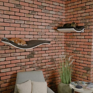 Cat Wall Furniture Bundle by CosyAndDozy® ~ 2 Cat Wall Shelves For Large Cats, Cat Beds, Cat Walk, Cat Tree, Floating Shelving For Big Cats