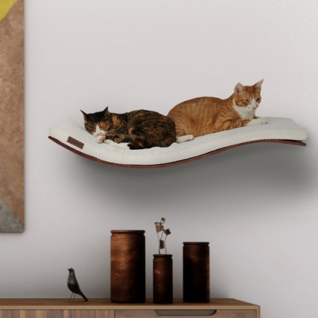 Floating Cat Shelves for Wall Cat Shelf Cat Bed Wall Etsy
